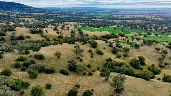 Quality Quirindi country focuses on profitability, land stewardship