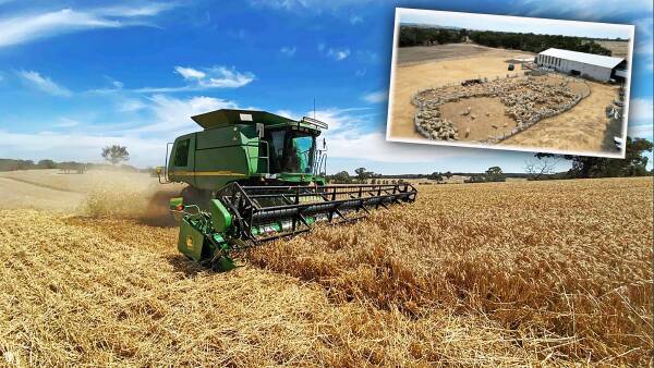 Cropping and grazing options on offer across 476ha at Lexton