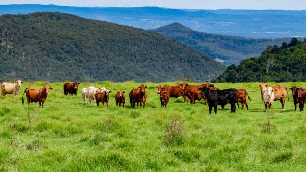 Plateau perfection in some of Australia's most scenic country | Video