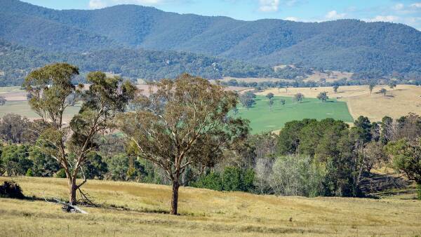 Bidders battle it out to buy Fish River Valley grazing farm at auction