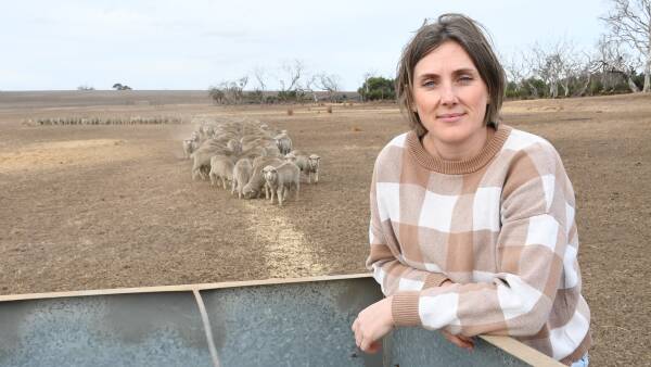 Kangaroo Island farmers remain upbeat despite driest start in two decades