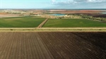 Quality irrigation backed by a 1570 megalitre water licence | Video