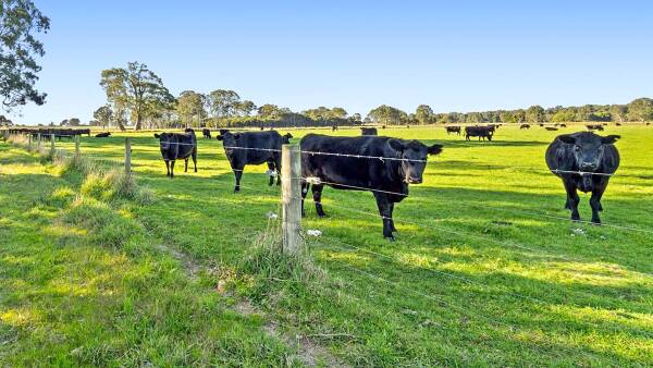 Buy the land, the water and even the herd with Sale farm offer