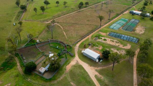 Outstanding Brisbane Valley backgrounding operation built to perform