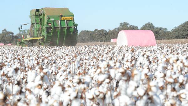 Battle for Namoi: Now ACCC concerned about Olam takeover bid, too