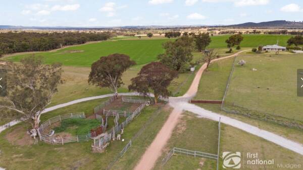 Offers of more than $4.7 million sought on productive Belvedere | Video