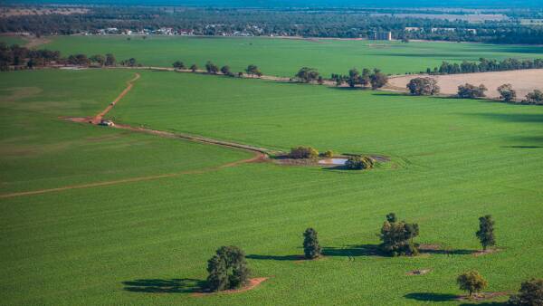 Outstanding Darriwell Aggregation delivers mixed farming excellence | Video