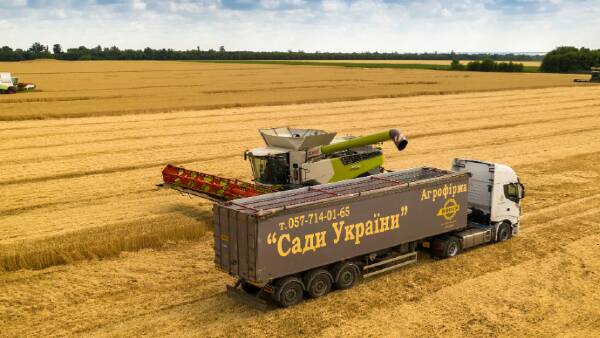 Grain market slide extends as Black Sea prospects improve