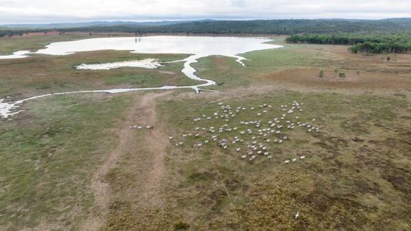 Valley of Lagoons: Premier North Qld cattle country for 10,000 cattle