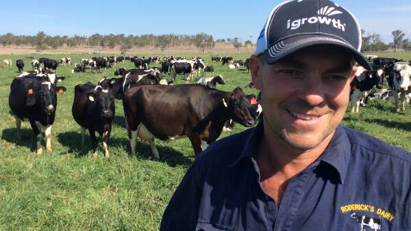 Queensland farmer to head up the Dairy Australia board from November