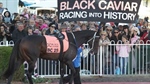 Legendary racehorse Black Caviar dies