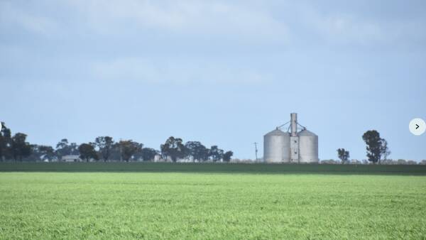 USDA forecasting year on year wheat growth, WA prospects soar