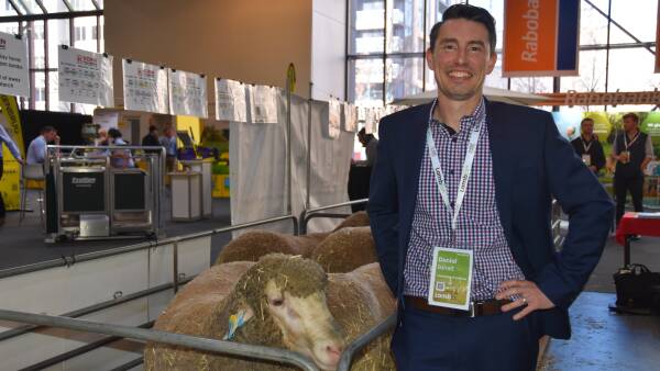 University of Adelaide research unlocks potential to quantify pain in sheep