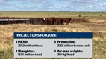 Mild destock indicated in latest MLA cattle projections