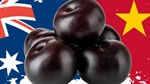 Plum trade gig for Australian stone fruit, could apples to China be next?