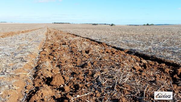 Bidders dig deep for Yorke Peninsula paddock in an astonishing auction