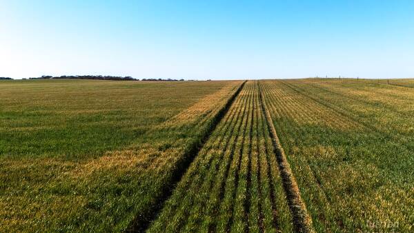 After auction bonanza, are there any more Maitland paddocks to sell?