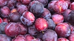 Vietnam negotiation deliver plum position for Australian summerfruit crop