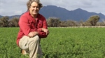 WoolPoll voting opens, growers across Australia urged to have their say