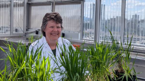 $65 million plant breeding boost at the University of Queensland