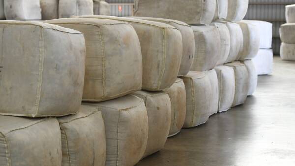 Domestic wool processing plans hit a wall due to funding shortfall