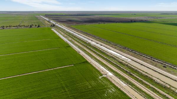 The Plains presented with 2500 acres of irrigated and dryland barley crop