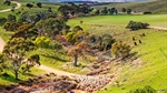 Historic Waterfalls farm sells after 114 years in family's hands