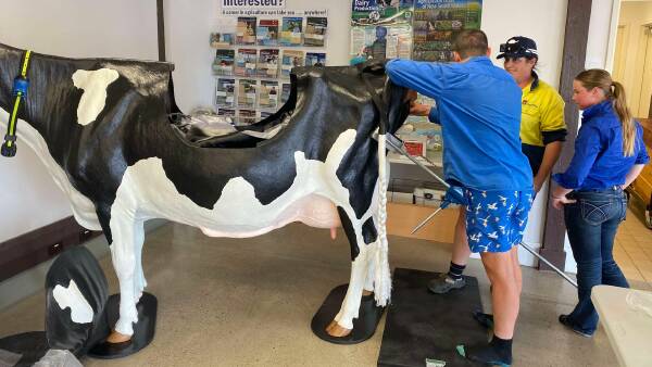 Tocal's new calving simulator