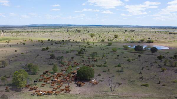 CPC grows Central Queensland base with major brigalow country purchase