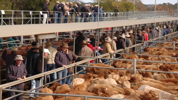 Ag production to hit near-record high despite dry setbacks, grain price fall