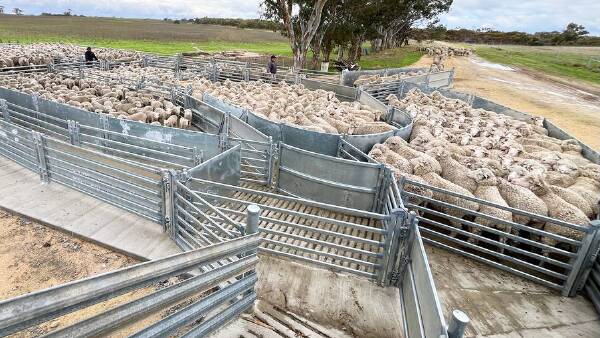 Some farm buyers might have 888 hectares on their Christmas wish list