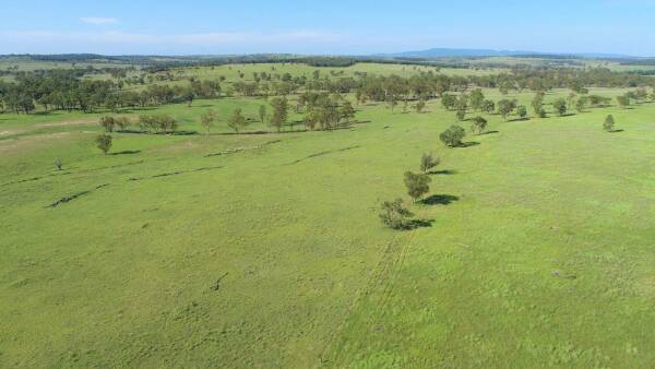 Productive buffel-rich cattle country for 400 breeders, replacement heifers