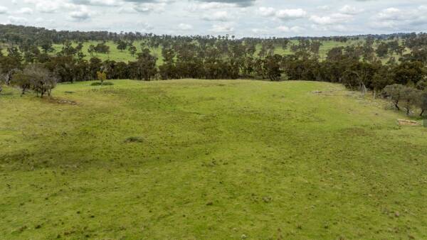 New England property with pasture potential makes $2778/acre at auction