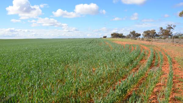 High land prices influence succession planning says industry specialist