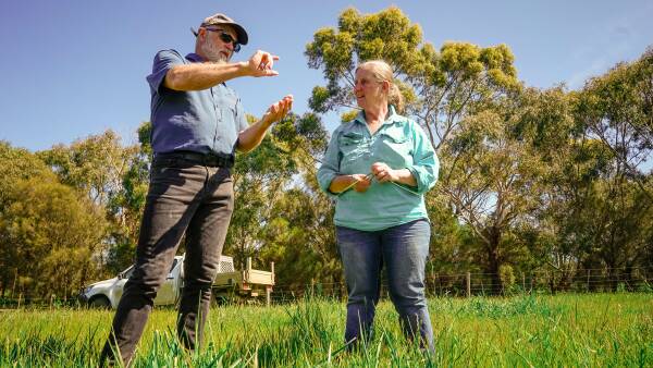 Farming carbon and livestock together: Are the worst risks being hidden?