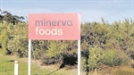 Minerva Foods shut down second WA sheep abattoir in 16 month period