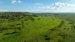 Taronga delivers superb combination of cropping and grazing country | Video