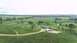 Halliday's versatile cattle property Ardath driven by productivity | Video