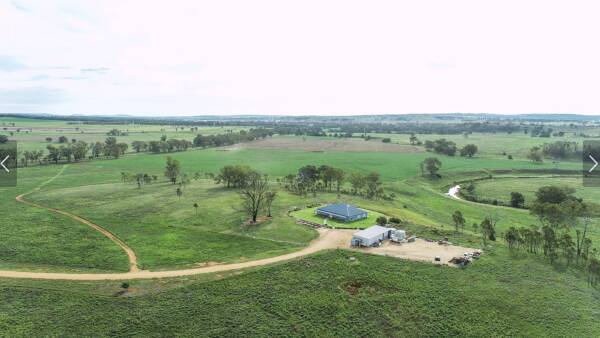 Halliday's versatile cattle property Ardath driven by productivity | Video