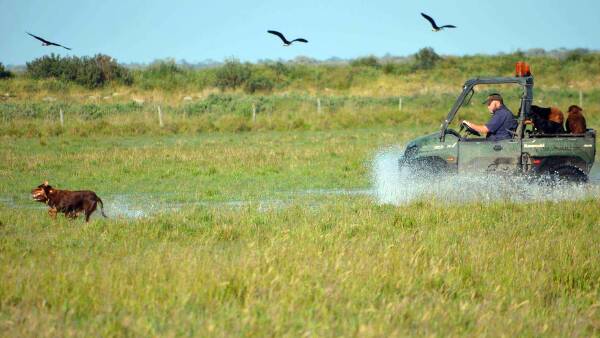 Water wealth powers this South-East farm's stellar production