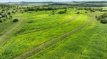 Top lifestyle property with cultivation and grazing opportuunities | Video