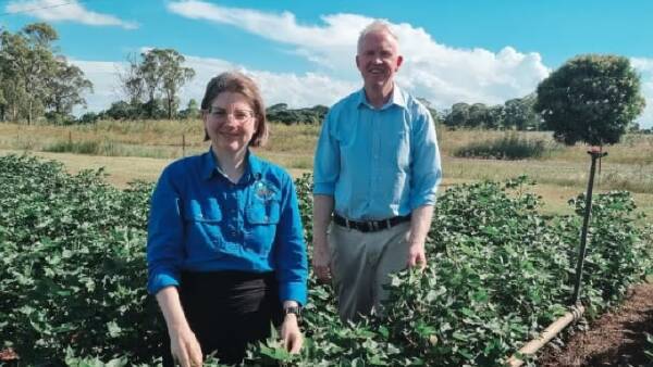 New irrigation research gains to help improve cotton water use efficiency