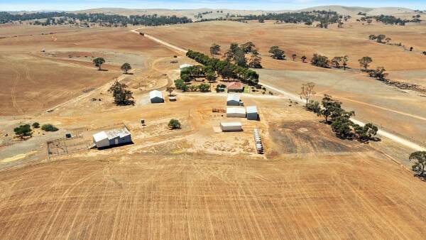 Family decides to sell Mid North farm after 151 years