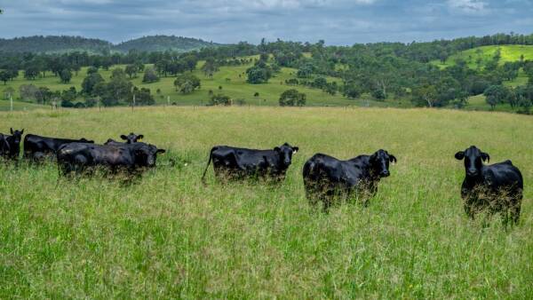 Stunning 1691 acre property in heart of the mighty Southern Burnett | Video