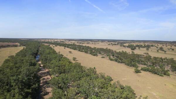 Maranoa's versatile exclusion-fenced Gladfield geared for 600 adult cattle