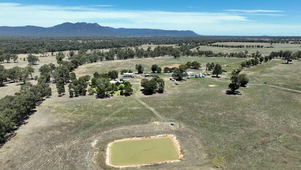 Large-scale cropping options with two farms selling across western Victoria