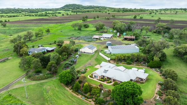 Negotiations continue on premium irrigation, cattle farm Pineview | Video