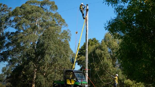 SW Vic farmers will get more reliable power under Powercor's latest plan