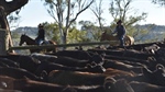 Science shows more nutrients in food from farms where soil health is king