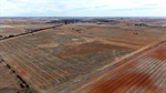 Cropping land up for grabs as blocks at Patho and Birchip listed for sale